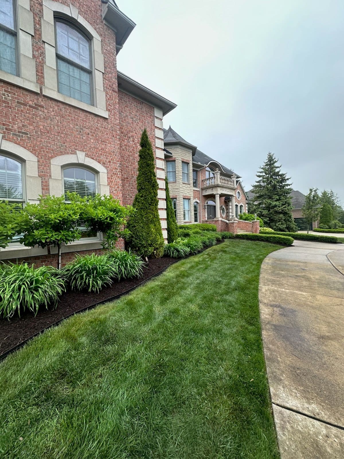 Stunning Bellagio Lawn Transformation with Mulch image