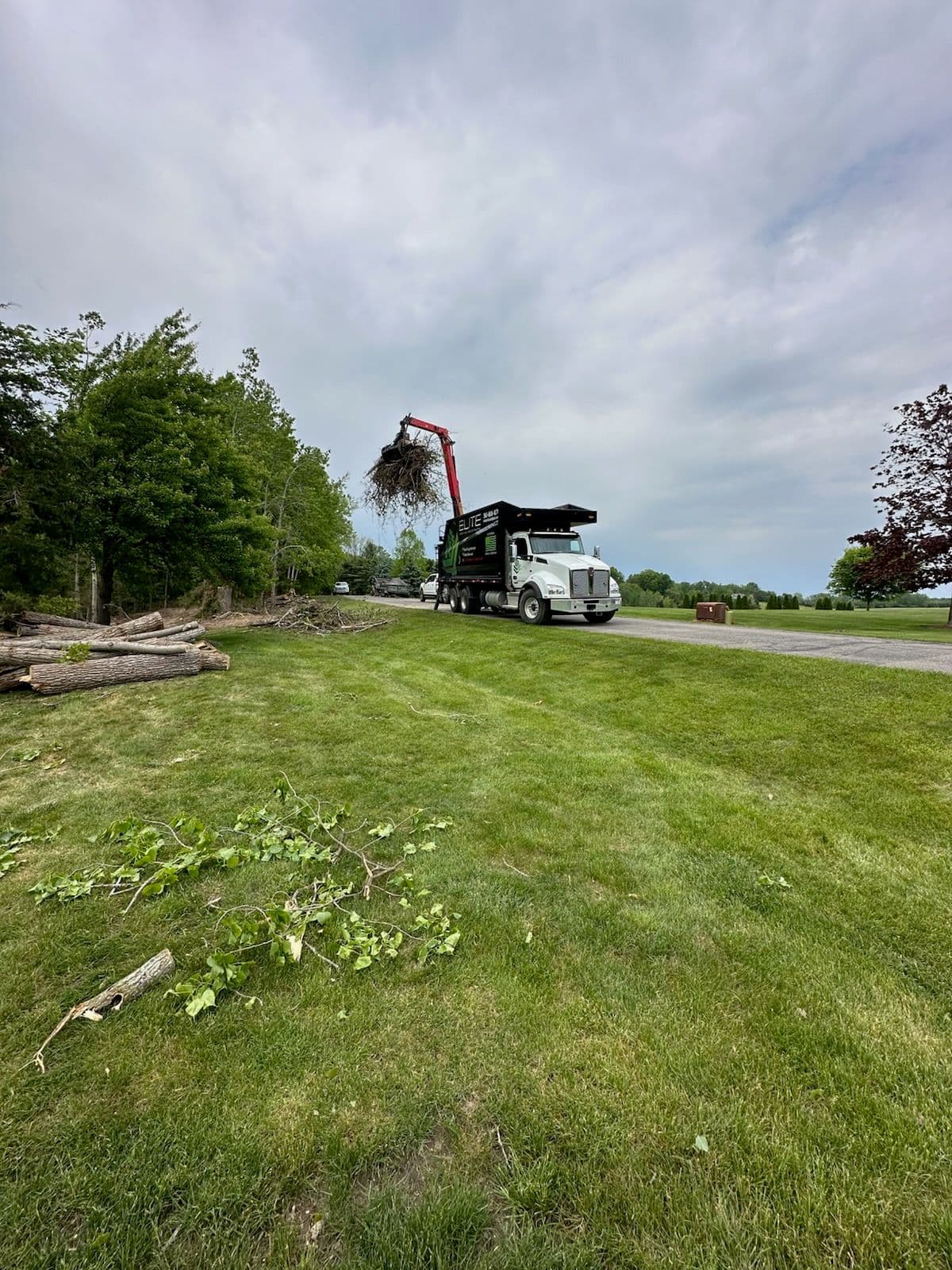 Project Efficient Land Clearing in South Lyon Michigan image
