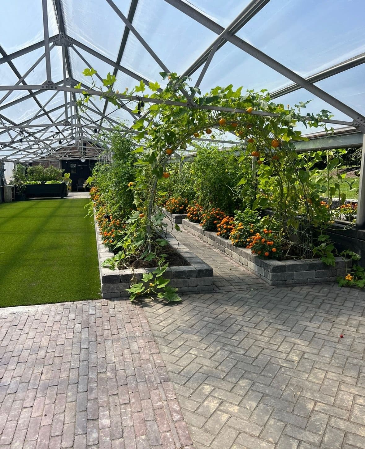 Discover Our Charming Greenhouse Sanctuary image
