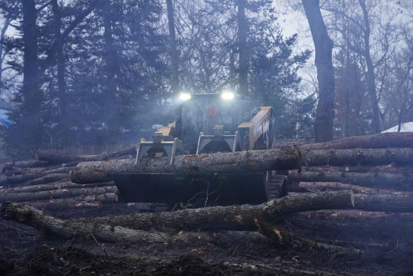 Skid steer loader clearing tree logs in foggy, forested terrain.